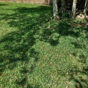gardening service by S. Hayes lawn Maintenance reviewed on August 19, 2025