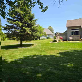 landscape maintenance by Elogantlawn, llc reviewed on December 5, 2025