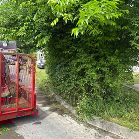 Bush Trimming by Grade A Mowing INC reviewed on August 21, 2025