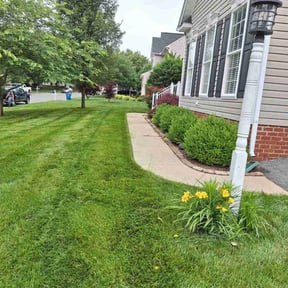 yard care by Dream Holloway Lawn Care reviewed on November 30, 2025