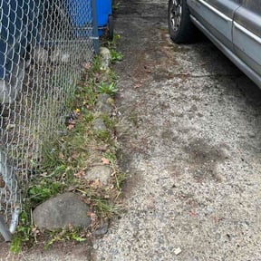 Leaf Removal by Our Family Lawn Cervice reviewed on August 3, 2026