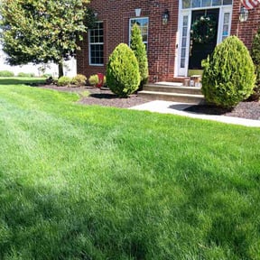 landscape maintenance by KMK LANDSCAPING SERVICES reviewed on May 3, 2025