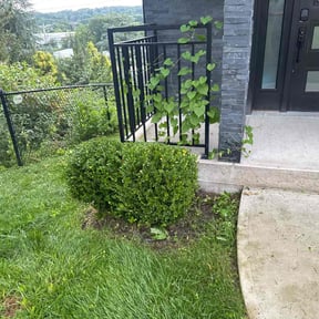 Bush Trimming by Strike Force (Main) reviewed on November 9, 2017