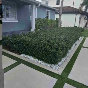 Bush Trimming by Herrera Lawn Maintenance reviewed on November 24, 2025