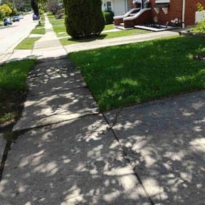 Bush Trimming by E-5 Lawn Services reviewed on June 22, 2026