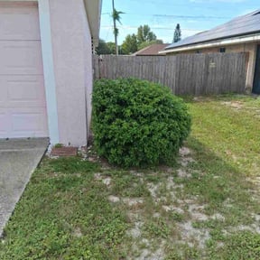 Bush Trimming by Mahan lawn care  reviewed on October 20, 2025