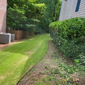 lawn service by Skivers quality Lawncare LLC reviewed on August 19, 2025