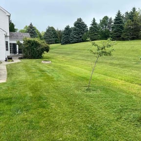 landscape maintenance by Robert Bond Sr reviewed on August 15, 2025