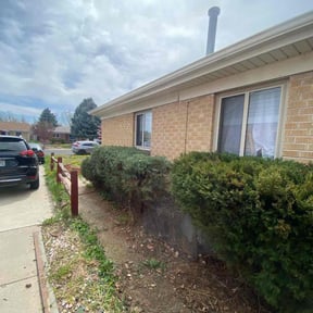 Bush Trimming by Proppa prop lawn care reviewed on August 17, 2025