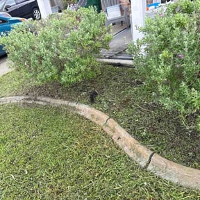 Flower Bed Weeding by Richard Buricca reviewed on July 15, 2026