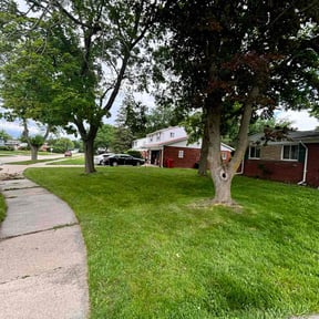 landscaping services by C&amp;C's lawn maintenance &amp; landscaping reviewed on November 24, 2025