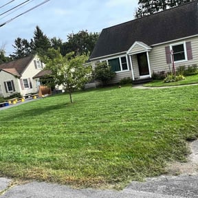 Bush Trimming by Sunnyside☀️☀️ Landscaping reviewed on August 21, 2025