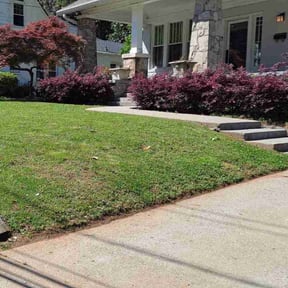 landscaping services by Blade2Bloom reviewed on December 11, 2025