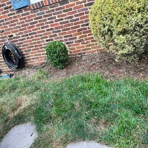 Bush Trimming by Tar Heel Veteran Outdoor Services reviewed on July 27, 2026