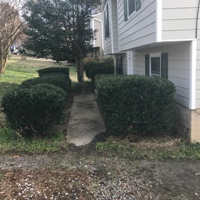 Bush Trimming by J&amp;S Outdoor Maintenance LLC reviewed on April 2, 2024