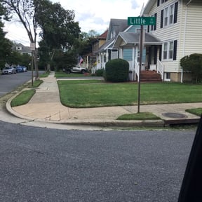 Bush Trimming by Dan&#039;s Lawn Service reviewed on November 23, 2025