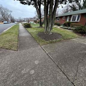 Leaf Removal by Laguna Landscape reviewed on September 25, 2025