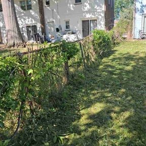 Bush Trimming by BMG HomeSolutions reviewed on April 23, 2026