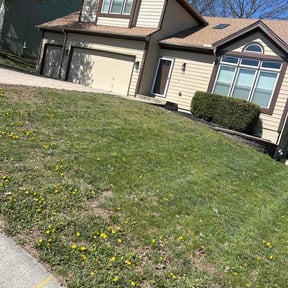 Leaf Removal by Al sahara LLC reviewed on June 2, 2026