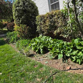 Flower Bed Weeding by Pure Michigan Lawn Care reviewed on April 20, 2026