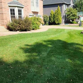 turf maintenance by QMC Property Services reviewed on September 1, 2023