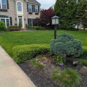 yard service by Crème De La Crème reviewed on November 19, 2025