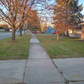 Leaf Removal by Zay’s Lawn Services reviewed on December 8, 2025