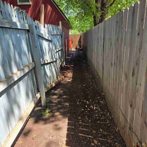 Leaf Removal by A&amp;A reviewed on June 19, 2026