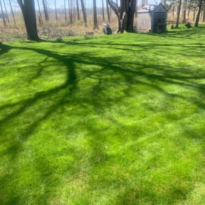 residential landscaping by Checkpoint Lawn services reviewed on August 18, 2025