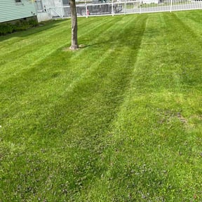 grass cutting by A&amp;S Lawn Care reviewed on May 3, 2024