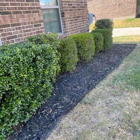 Flower Bed Weeding by Bobby landscaping s. reviewed on August 28, 2026
