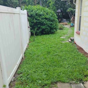 Bush Trimming by Total Ground Care LLC reviewed on October 21, 2025