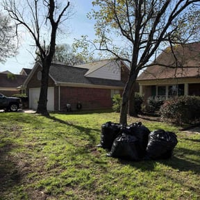 Leaf Removal by  reviewed on January 14, 2026