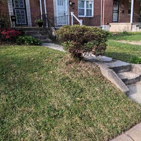 Bush Trimming by Jays lawn care reviewed on April 19, 2026