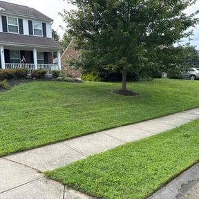 Long Grass Cleanup by Wild Acres Lawn Care reviewed on August 15, 2025