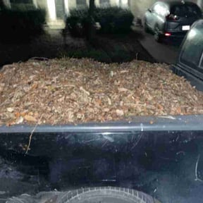 Leaf Removal by Berber Industries Landscaping reviewed on August 18, 2025