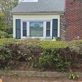 Bush Trimming by Them Joneses reviewed on October 23, 2025