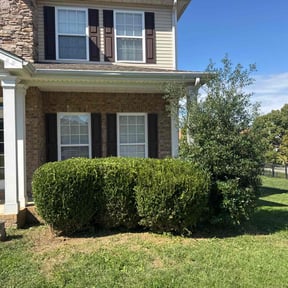 Bush Trimming by Texas Fencing &amp; Landscaping (Duplicate) reviewed on November 18, 2025