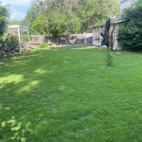 residential landscaping by CUT Tulsa Lawn Co. reviewed on August 19, 2025