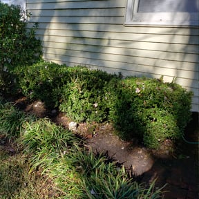 Flower Bed Weeding by A-1 Affordable Lawn Care reviewed on August 17, 2025