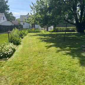 yard work by New leaf Landscaping reviewed on August 19, 2025