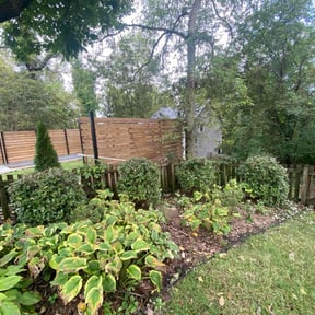 Bush Trimming by Allprozllc lawn care reviewed on August 15, 2025
