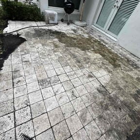 Leaf Removal by Starview lawncare reviewed on September 29, 2025