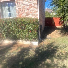 Bush Trimming by Texas Touch Lawn reviewed on November 23, 2025
