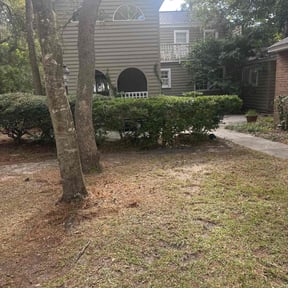 Bush Trimming by keyes and company reviewed on January 18, 2026