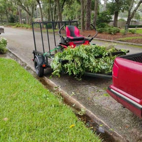 Bush Trimming by Choice Specialties LLC reviewed on November 29, 2025