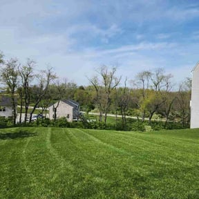 lawn service by Loves Landscaping reviewed on April 25, 2024