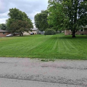 yard maintenance by 7Brother Landscaping reviewed on April 25, 2025