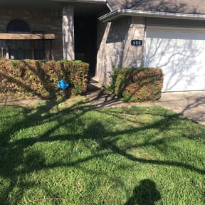 Bush Trimming by P.S.W. Lawn Care reviewed on August 20, 2025