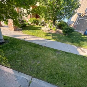 yard maintenance by Keith Dalke reviewed on December 4, 2025